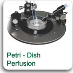 Petri dish perfusion