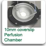 perfusion chamber for 10mm coverslips