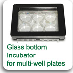 Incubator for Multi-well Plates, glass bottom