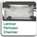 laminar perfusion chamber