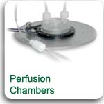 Perfusion Chambers