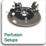 Perfusion setups