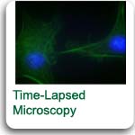 Time lapsed imaging